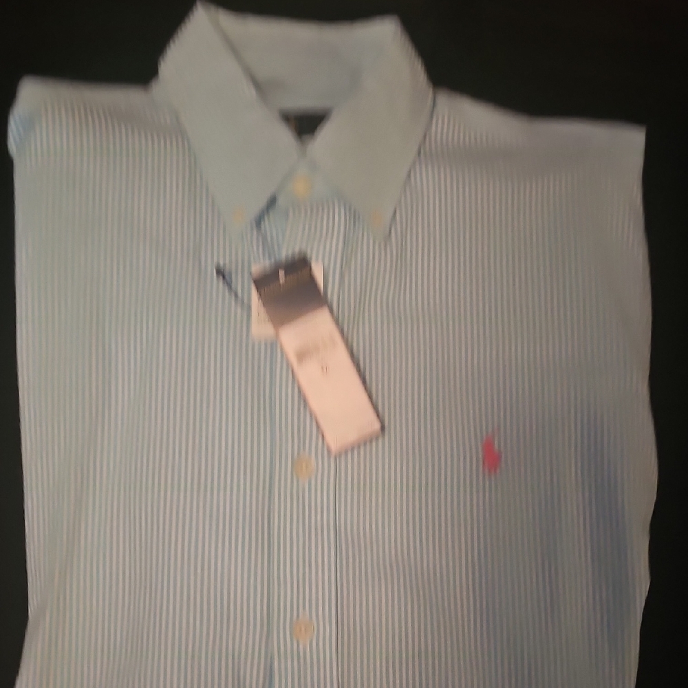 Polo by Ralph Lauren Blue Casual Button Down Shirt